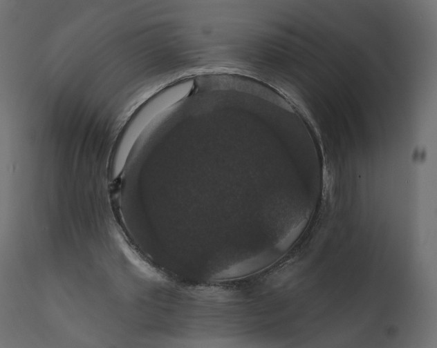 X0000110700389200906261413