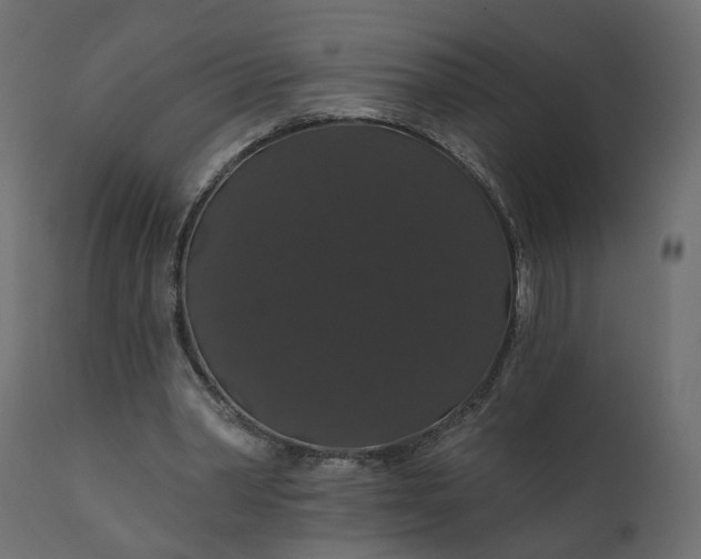 X0000110700390200906261413