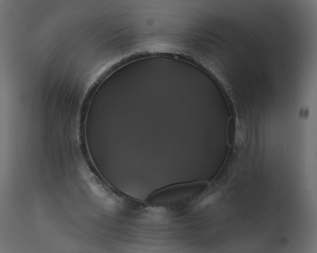 X0000110700391200906261413