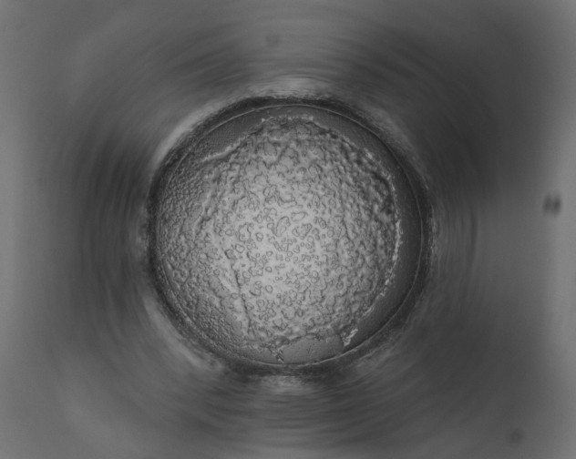 X0000110700392200906261413