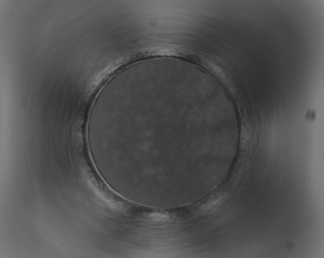 X0000110700394200906261413