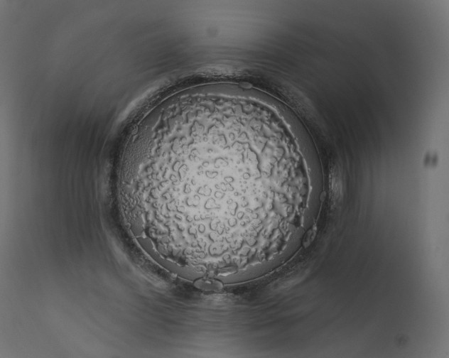 X0000110700396200906261413