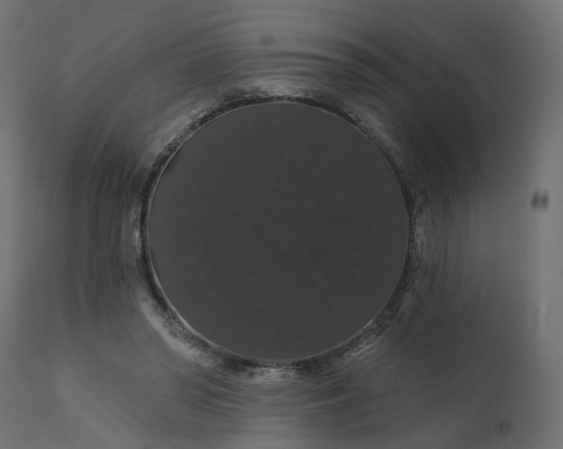 X0000110700398200906261413