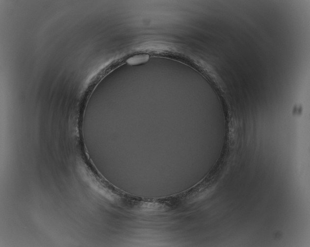 X0000110700399200906261413