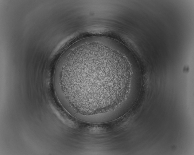 X0000110700400200906261413