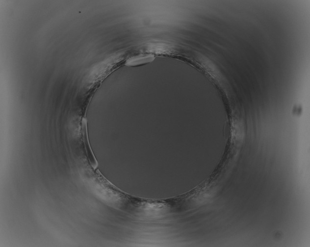 X0000110700401200906261413