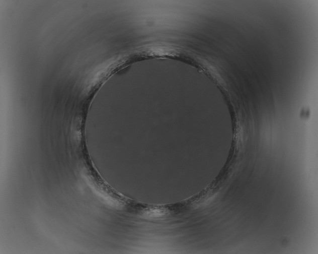 X0000110700402200906261413