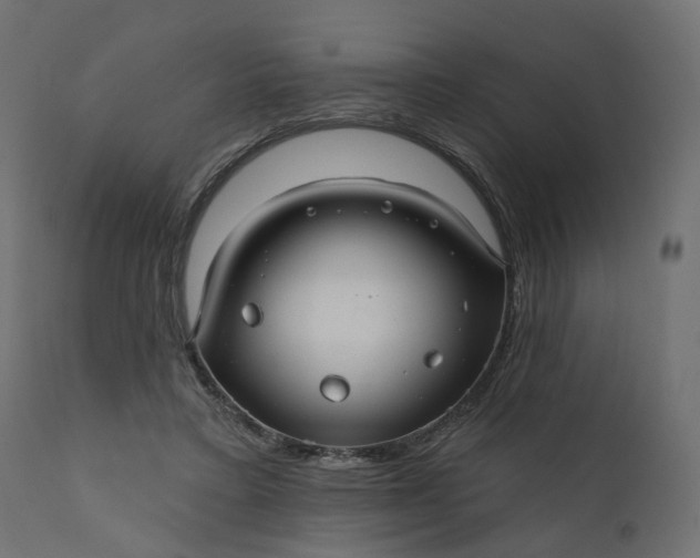 X0000110700403200906261413