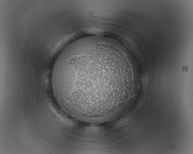 X0000110700404200906261413