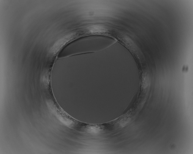 X0000110700405200906261413