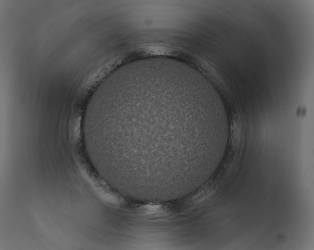 X0000110700406200906261413