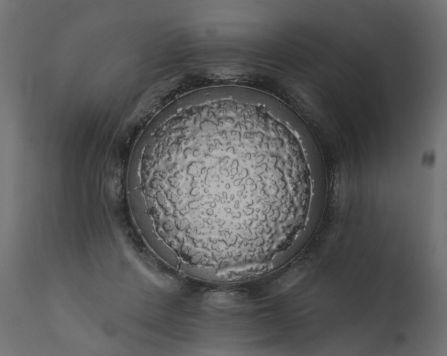 X0000110700408200906261412