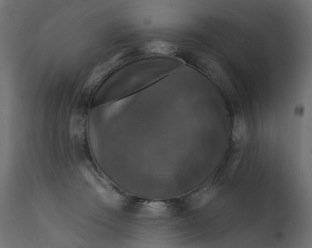 X0000110700409200906261412