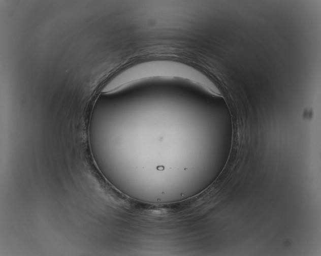 X0000110700411200906261412