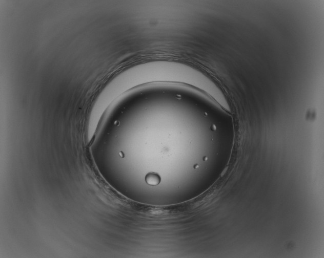 X0000110700413200906261412