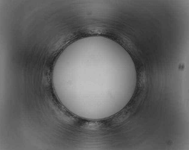 X0000110700414200906261412