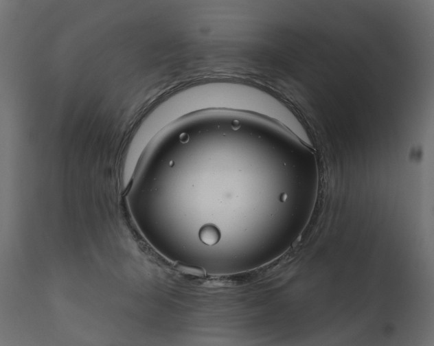 X0000110700415200906261412