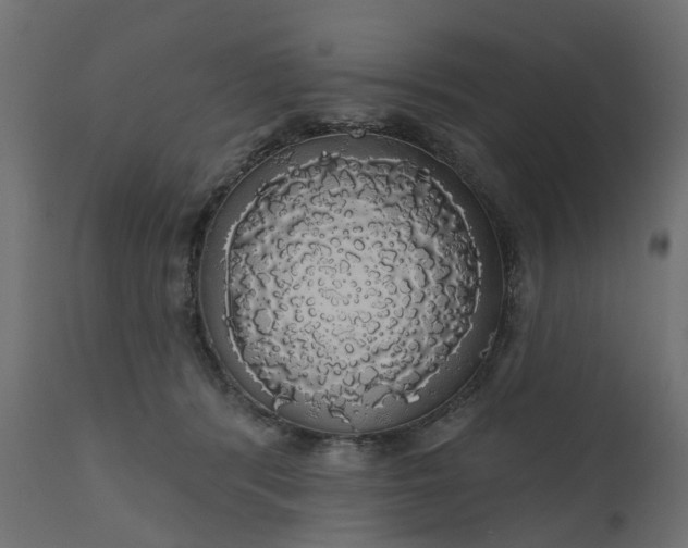 X0000110700416200906261412