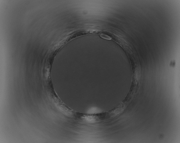 X0000110700417200906261412