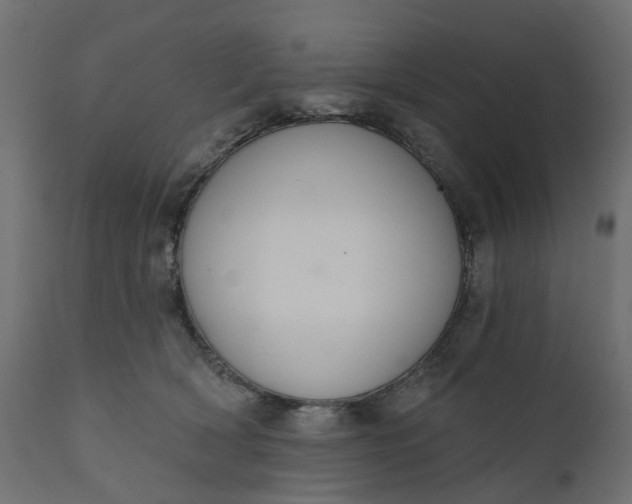 X0000110700418200906261412