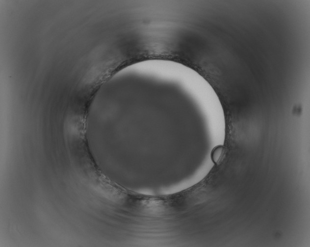 X0000110700419200906261412