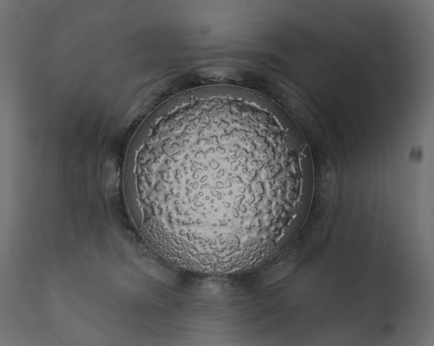 X0000110700420200906261412