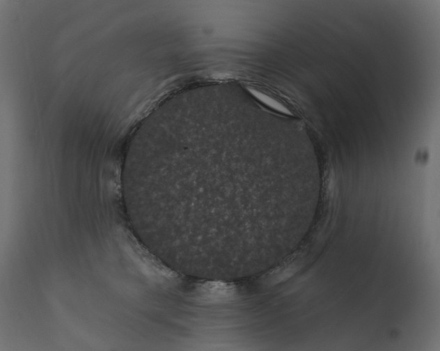 X0000110700421200906261412