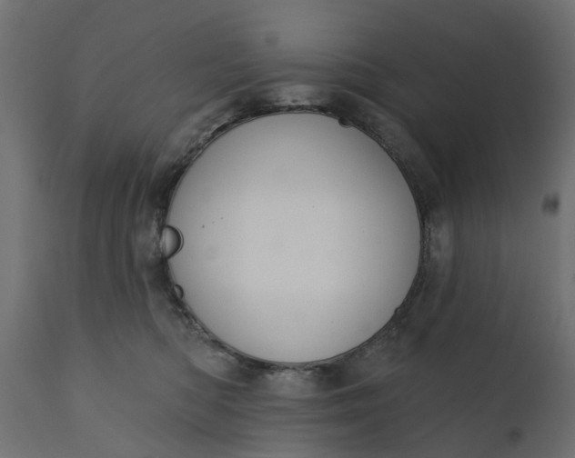 X0000110700422200906261412