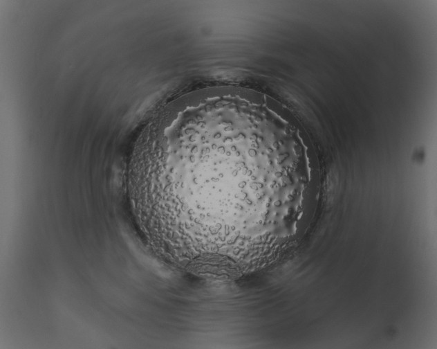 X0000110700424200906261412