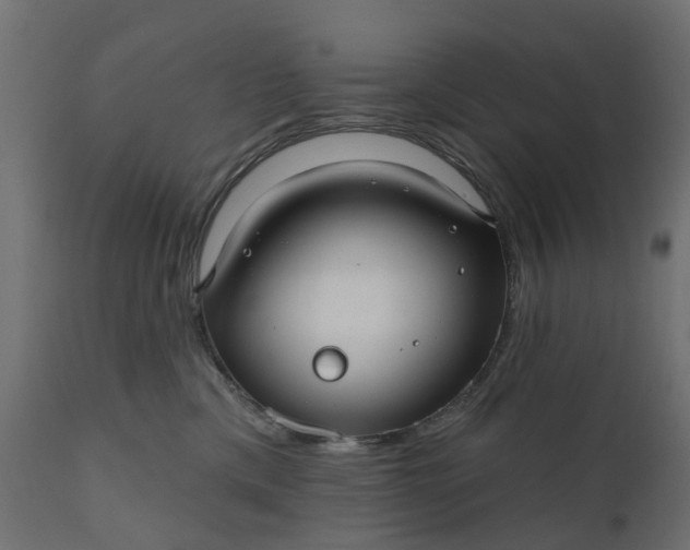 X0000110700425200906261412