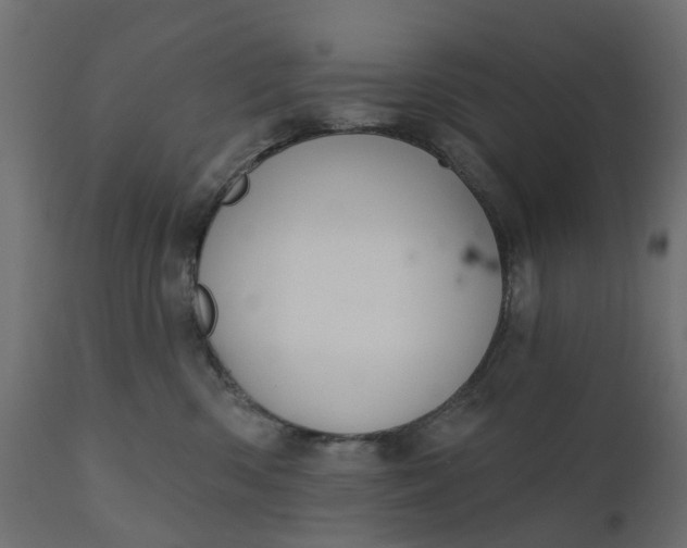 X0000110700426200906261412