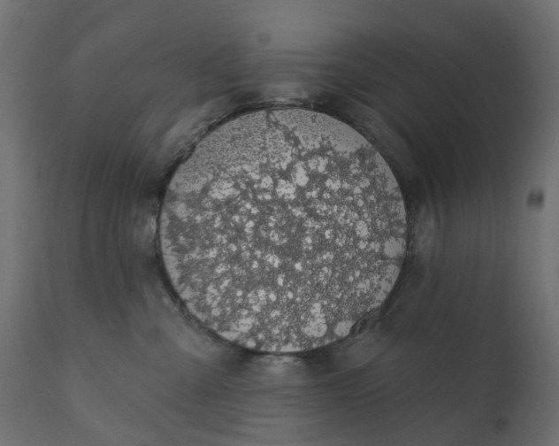 X0000110700427200906261412