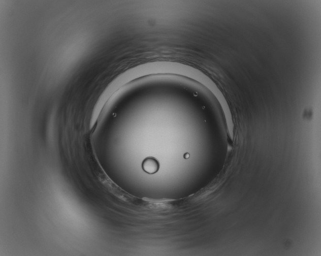 X0000110700429200906261412