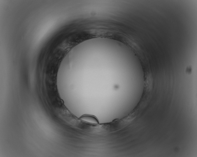 X0000110700430200906261412