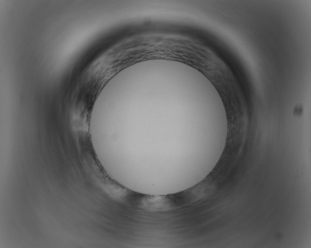 X0000110700431200906261412