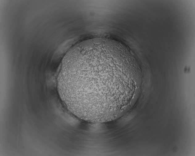 X0000110700432200906261412