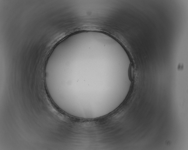 X0000110700433200906261411