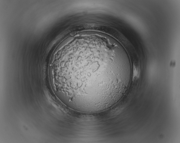 X0000110700435200906261411