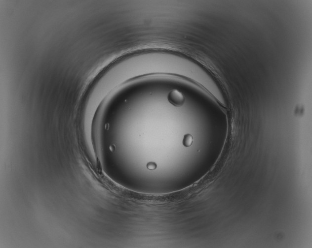 X0000110700436200906261411