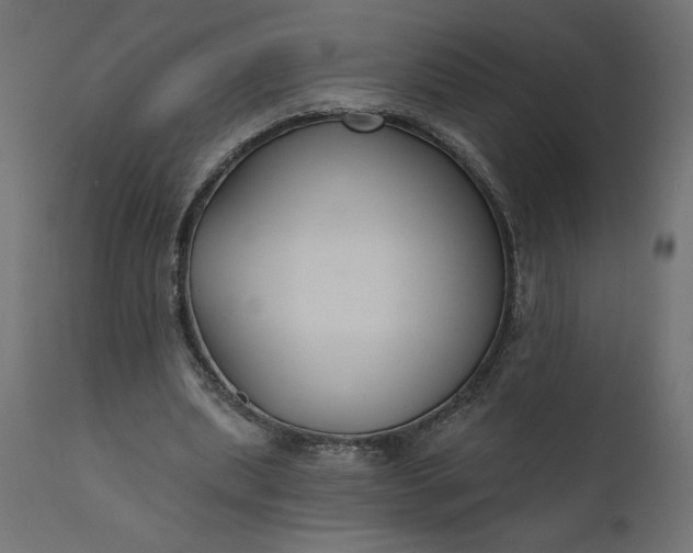 X0000110700439200906261411