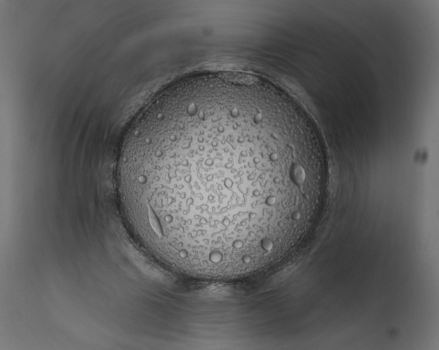 X0000110700441200906261412