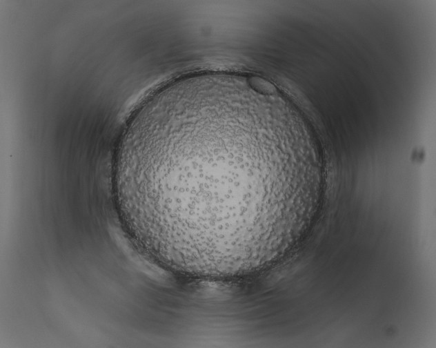 X0000110700442200906261412