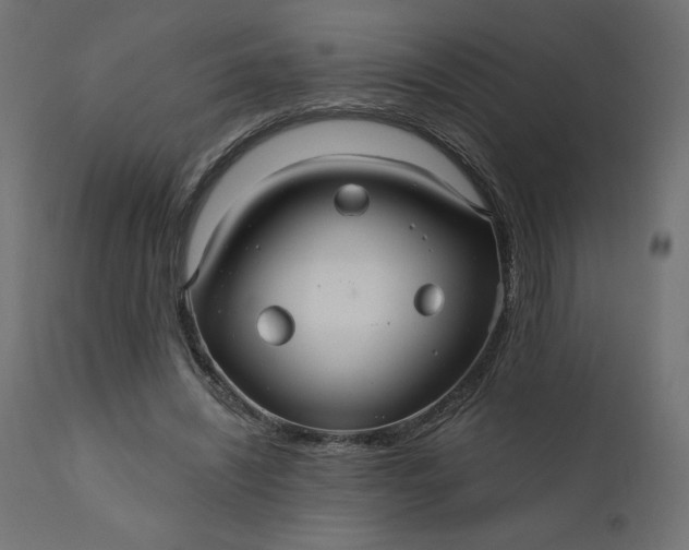 X0000110700444200906261412