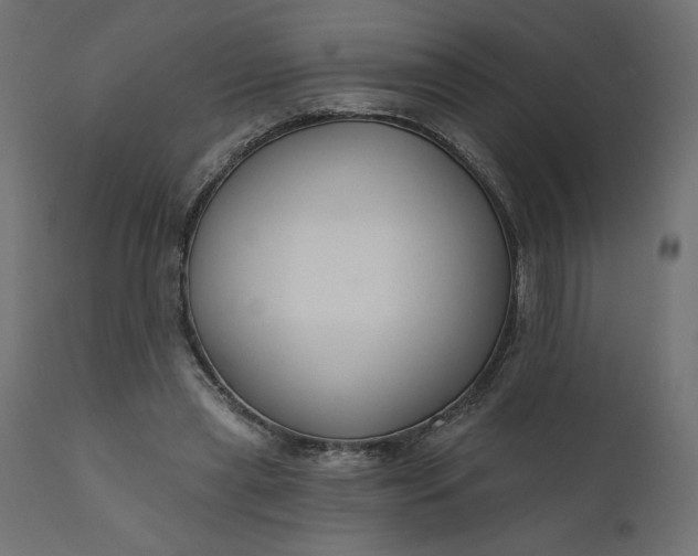 X0000110700445200906261412