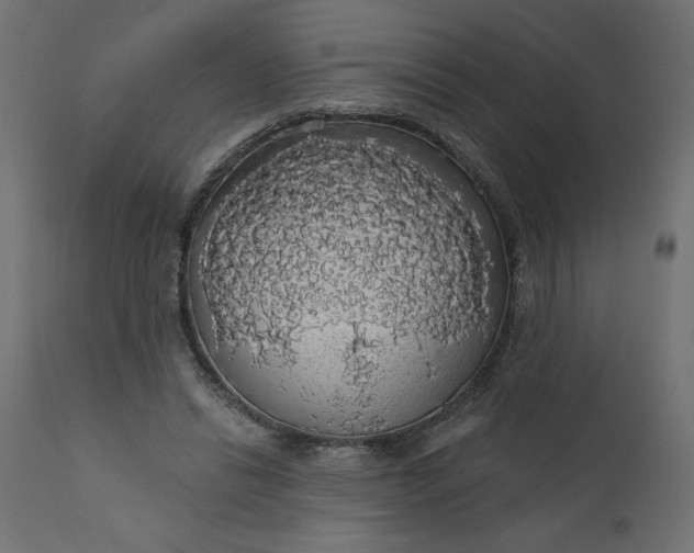 X0000110700446200906261412