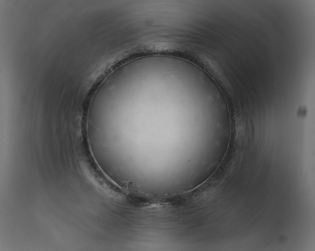 X0000110700447200906261412