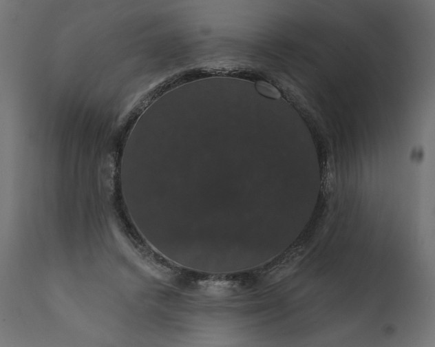 X0000110700448200906261412