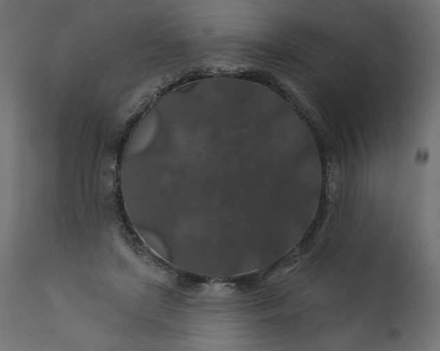 X0000110700451200906261412