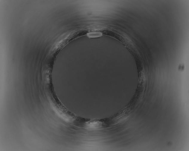 X0000110700452200906261412