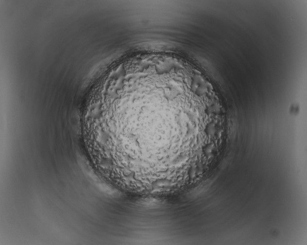 X0000110700453200906261412